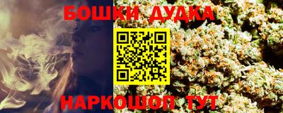 spice Моздок