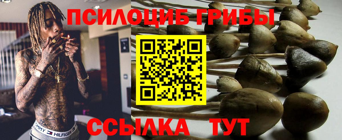 Сосновый Бор  Псилоцибиновые грибы мухоморы  Псилоцибиновые грибы мухоморы  Вход с VPN 